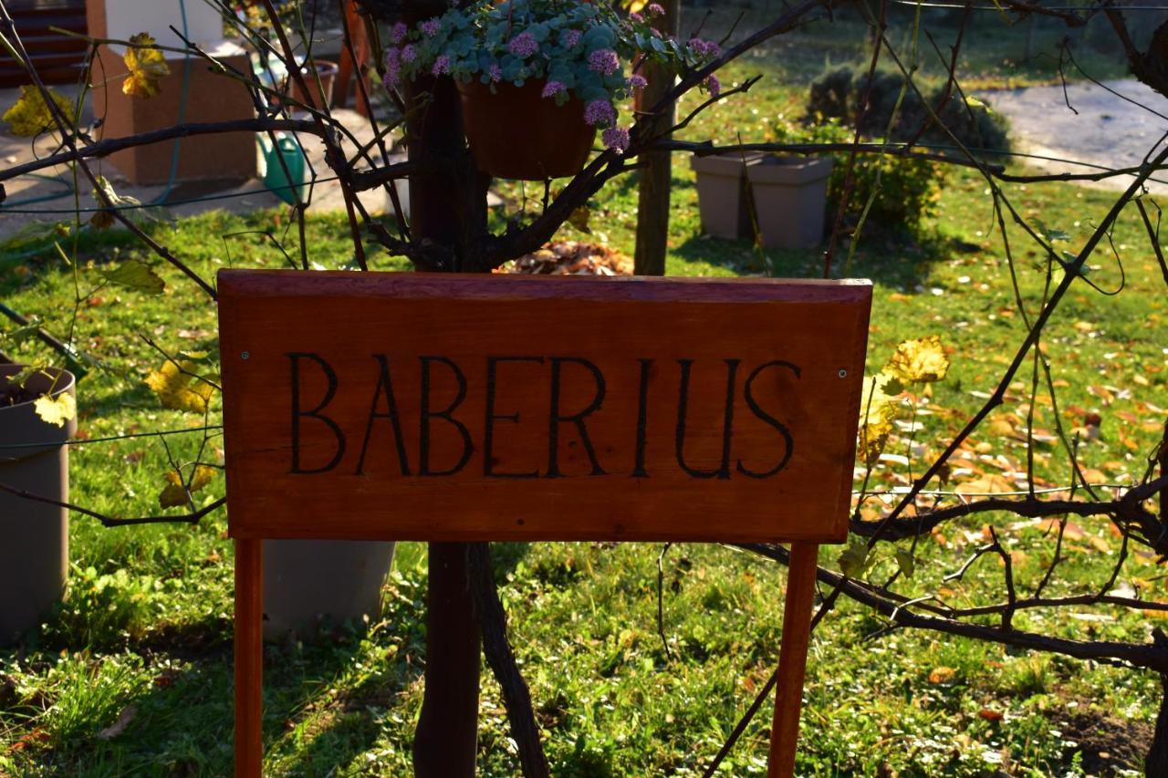 Baberius 빌라 외부 사진